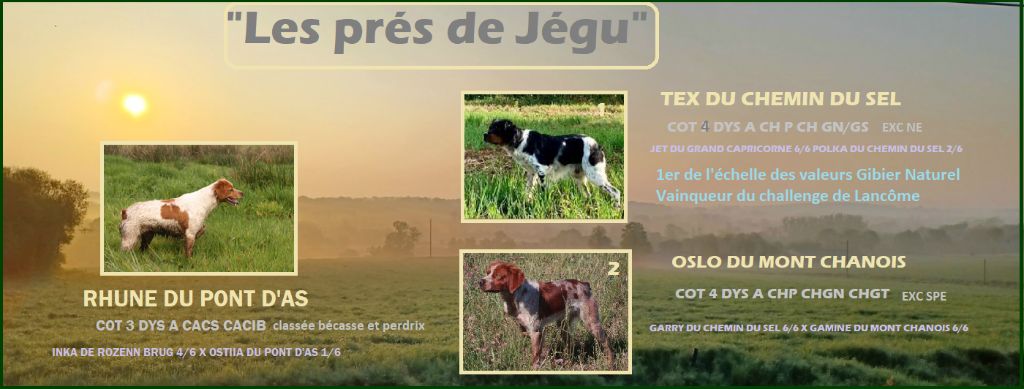 Les prés de Jégu arrivent